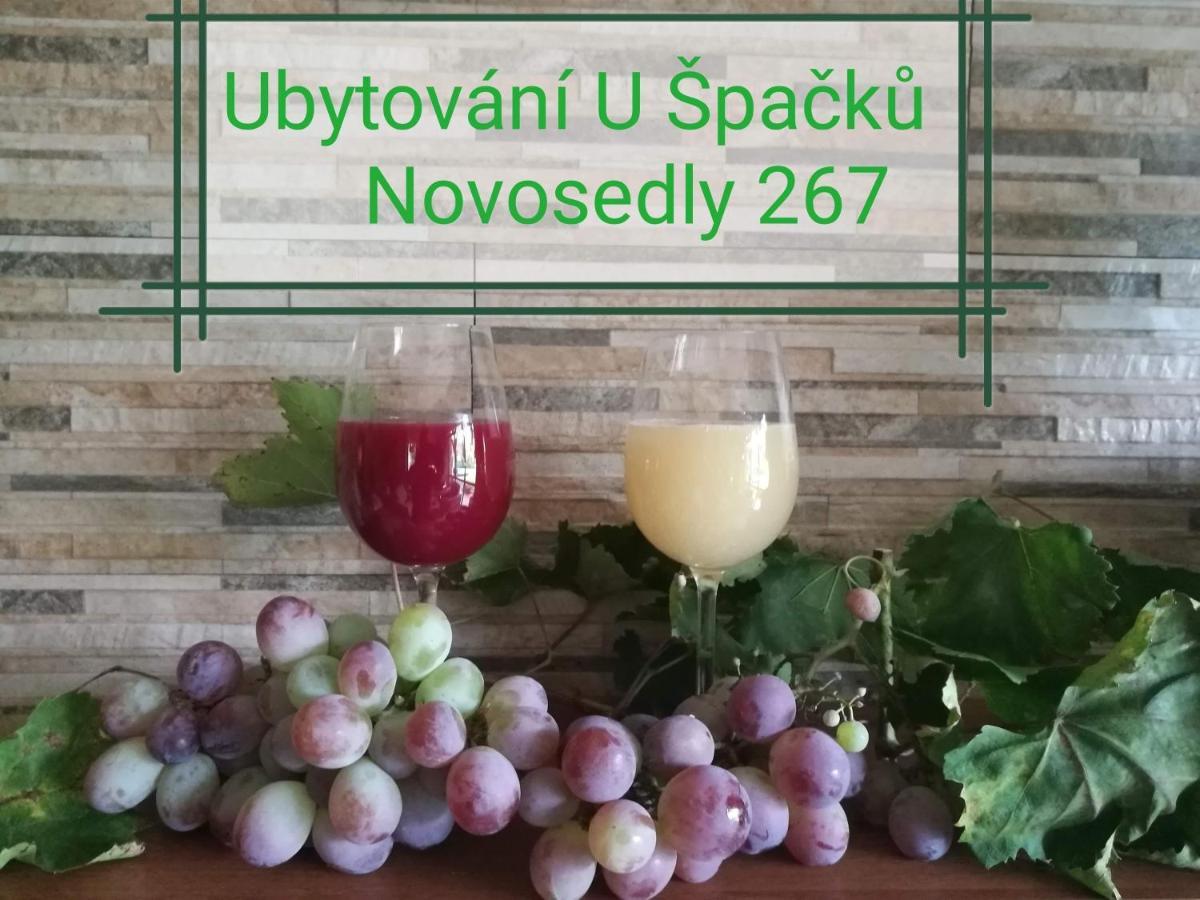 Ubytovani U Spacku Palava Novosedly  Экстерьер фото