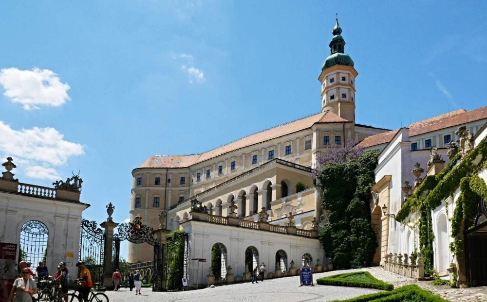 Ubytovani U Spacku Palava Novosedly  Экстерьер фото