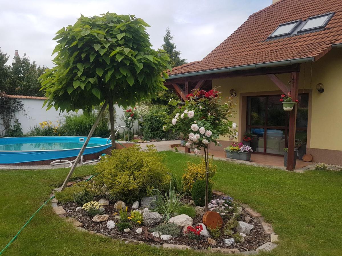 Ubytovani U Spacku Palava Novosedly  Экстерьер фото