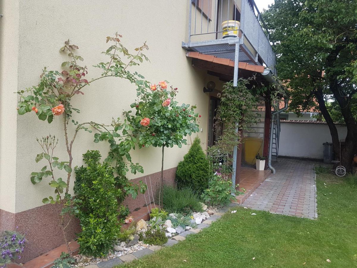 Ubytovani U Spacku Palava Novosedly  Экстерьер фото