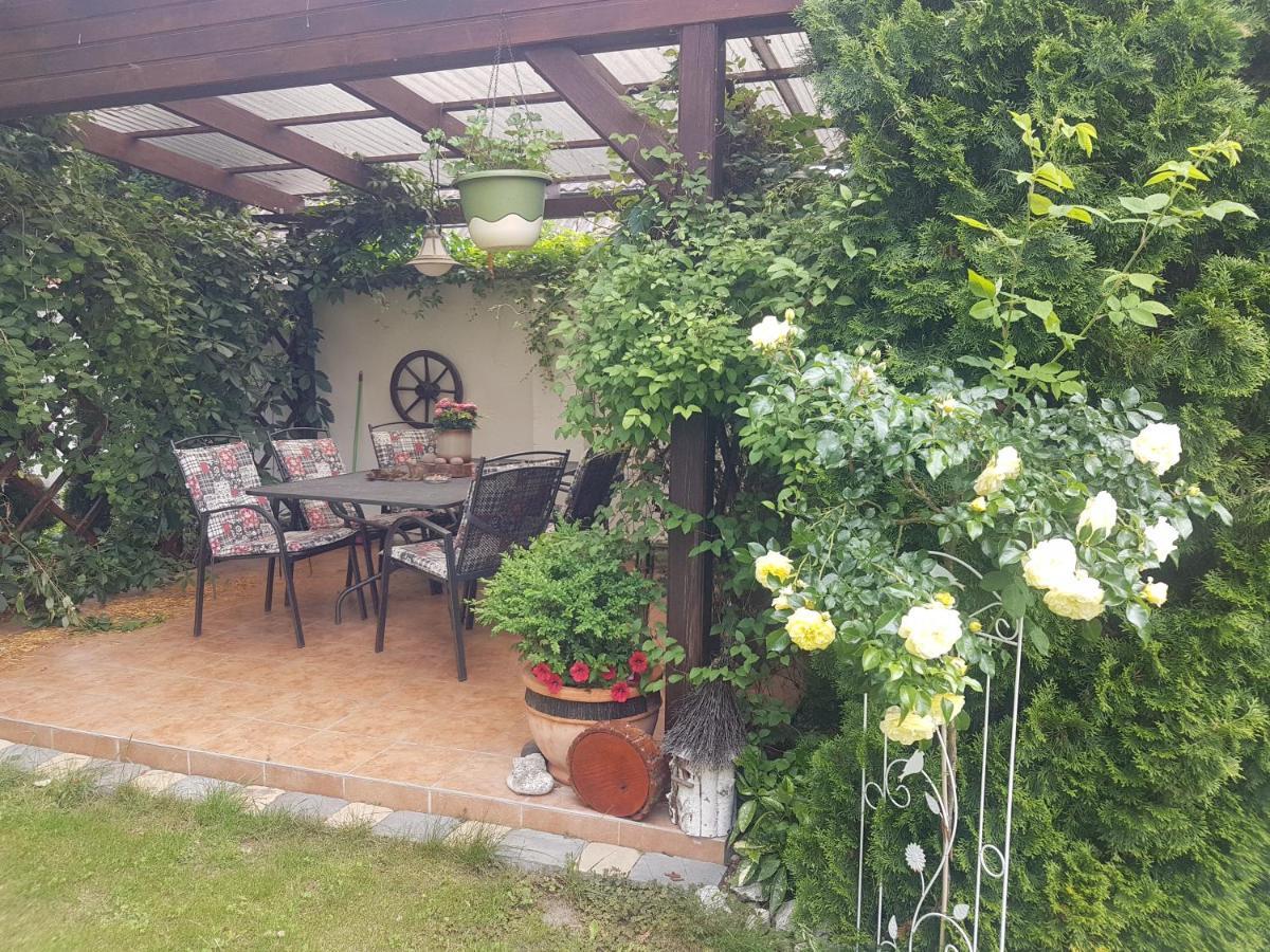 Ubytovani U Spacku Palava Novosedly  Экстерьер фото