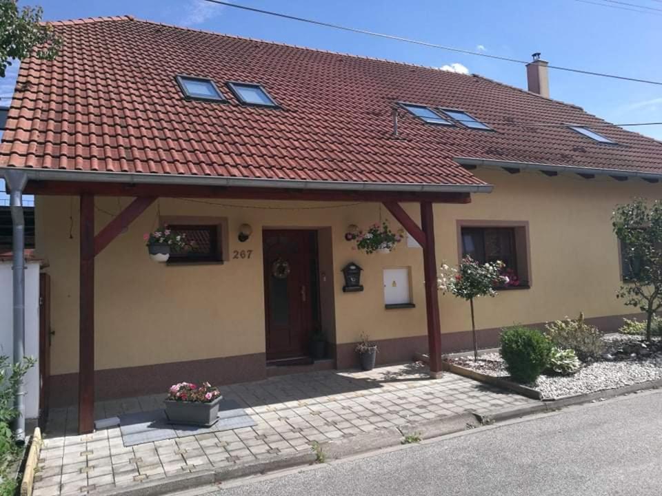 Ubytovani U Spacku Palava Novosedly  Экстерьер фото