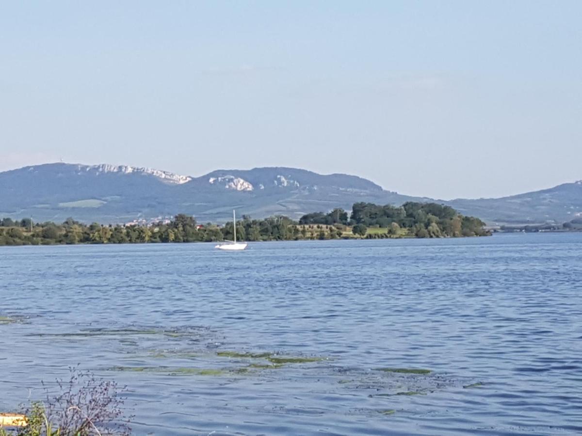 Ubytovani U Spacku Palava Novosedly  Экстерьер фото