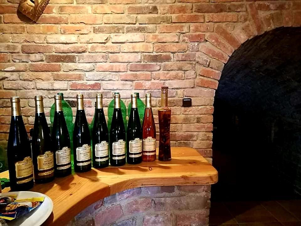 Ubytovani U Spacku Palava Novosedly  Экстерьер фото