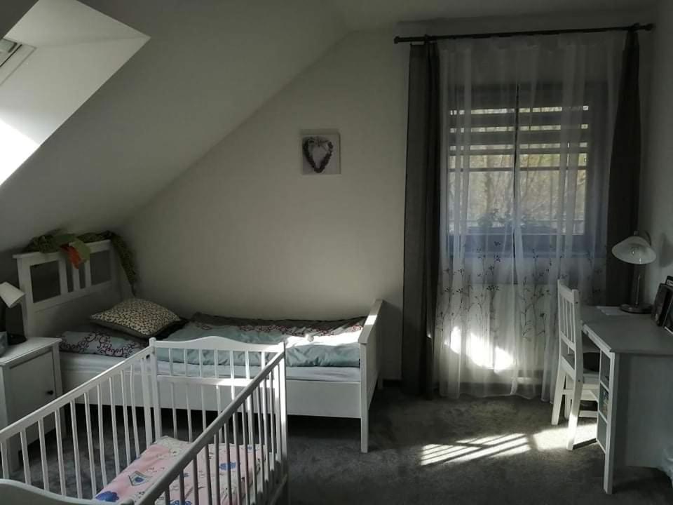 Ubytovani U Spacku Palava Novosedly  Экстерьер фото