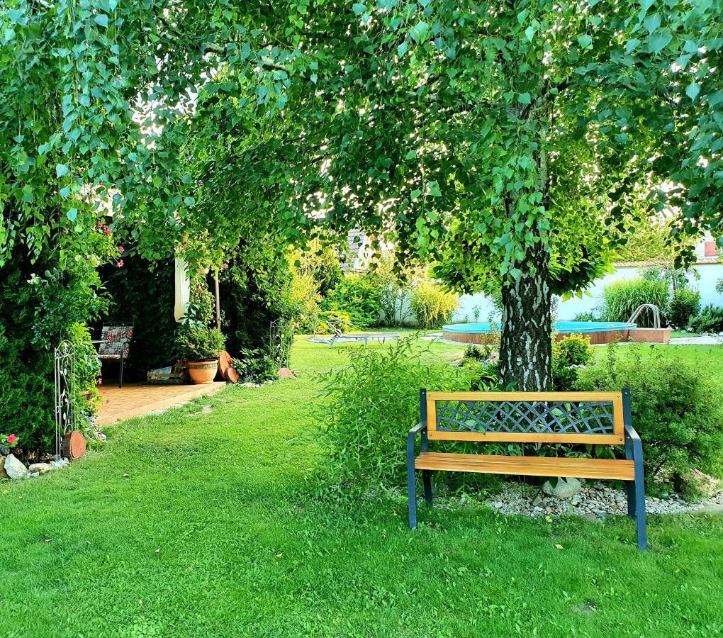 Ubytovani U Spacku Palava Novosedly  Экстерьер фото