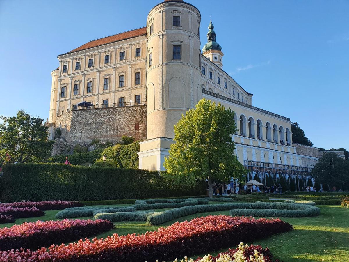 Ubytovani U Spacku Palava Novosedly  Экстерьер фото