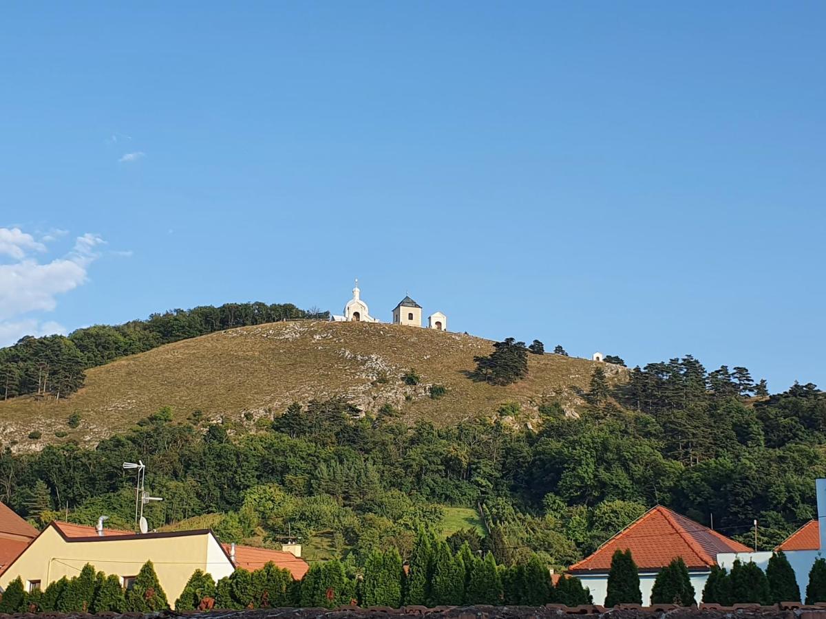 Ubytovani U Spacku Palava Novosedly  Экстерьер фото
