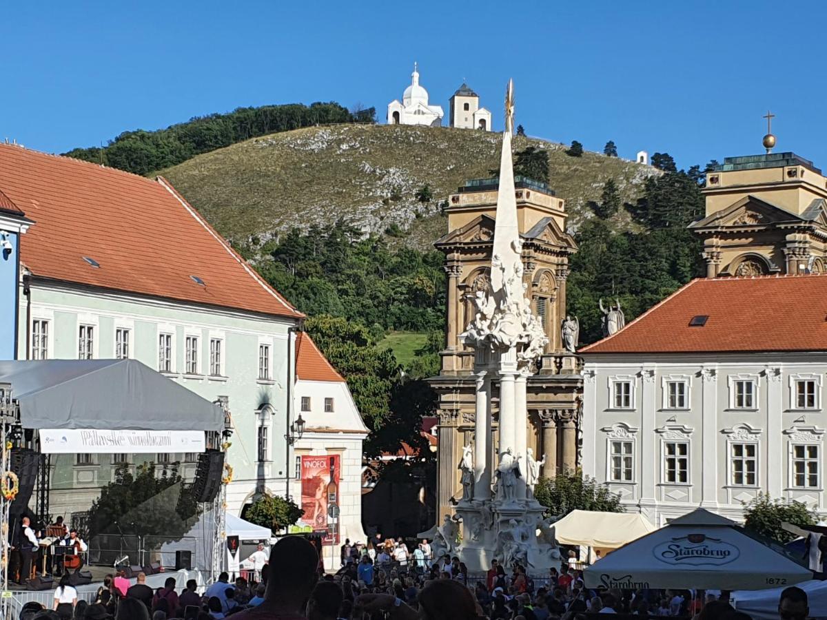 Ubytovani U Spacku Palava Novosedly  Экстерьер фото