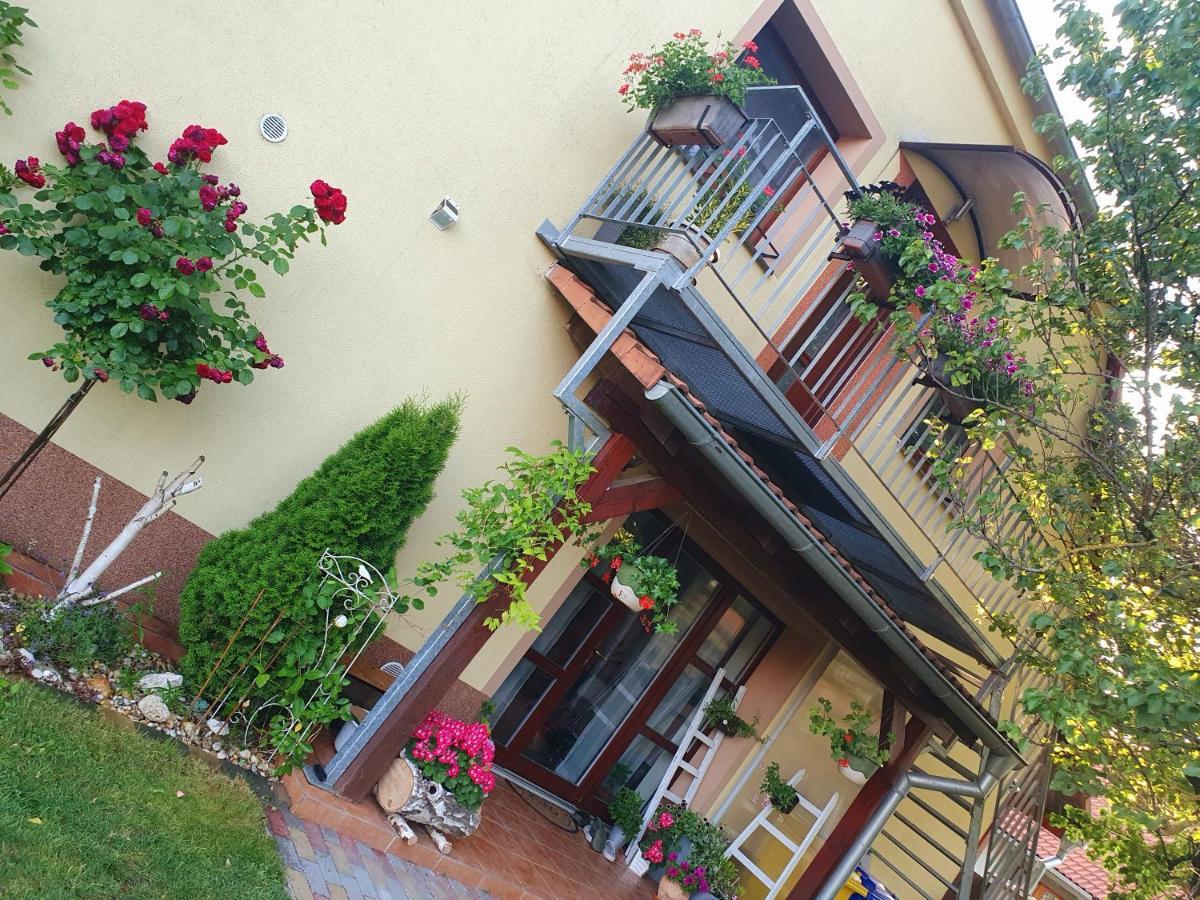 Ubytovani U Spacku Palava Novosedly  Экстерьер фото